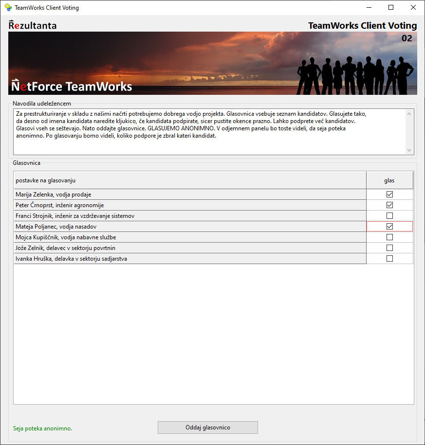 TeamWorks-01-Anonymous YN Voting
