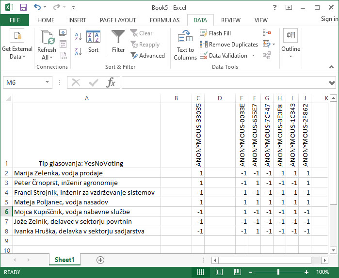 TeamWorks-02b-YN Voting Excel